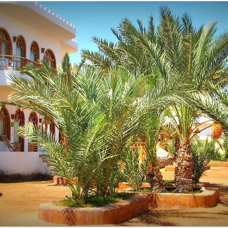 Shams Hotel & Dive Centre Dahab Eksteriør billede