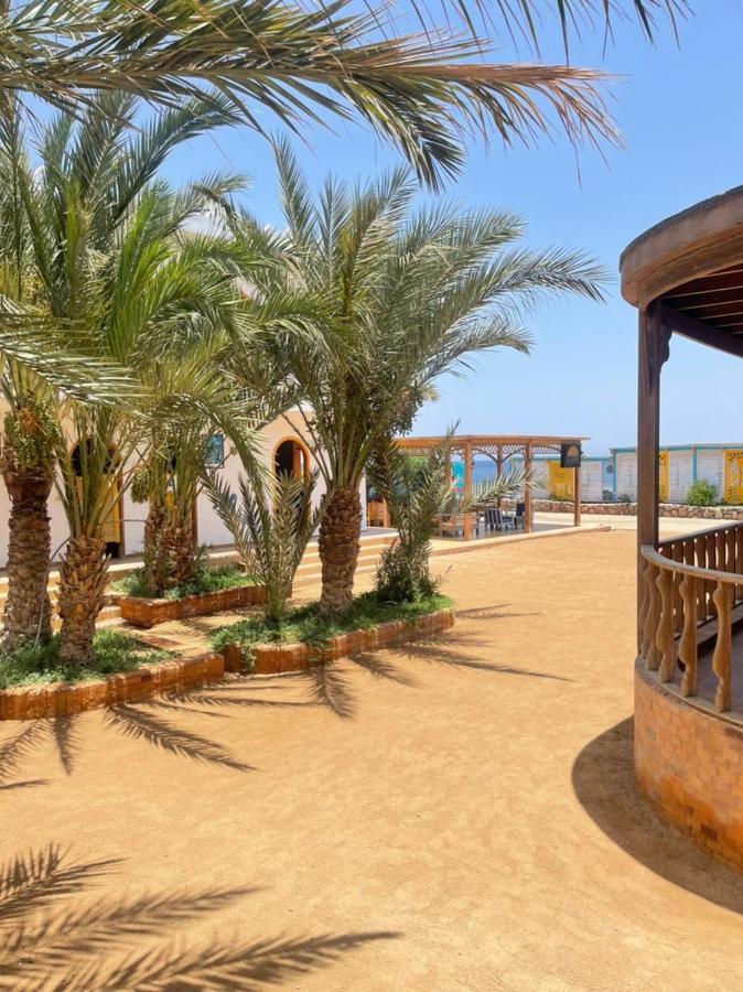 Shams Hotel & Dive Centre Dahab Eksteriør billede