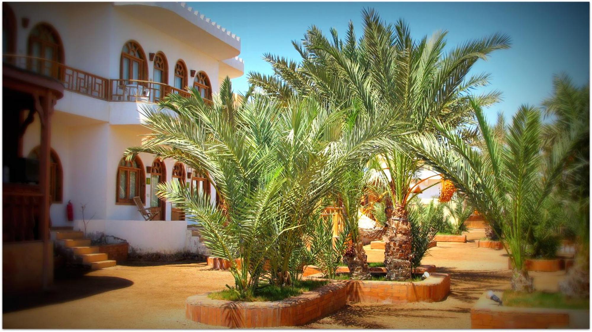 Shams Hotel & Dive Centre Dahab Eksteriør billede